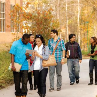 Where California High School Students Attend College