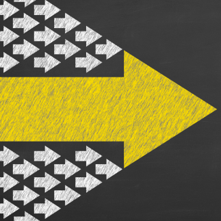Leadership for Continuous Improvement